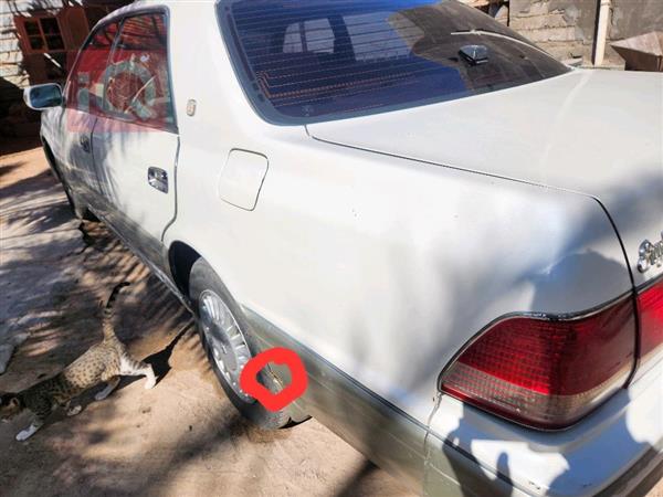 car image
